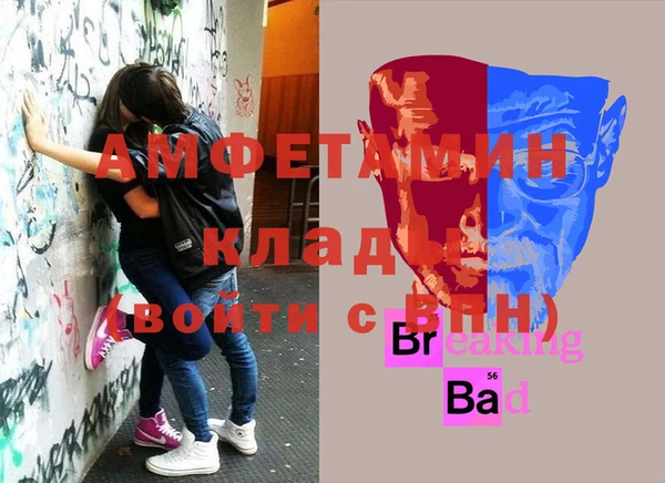 тгк Ростов