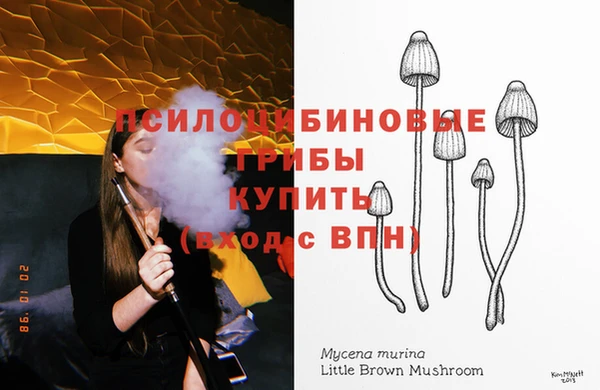 тгк Ростов